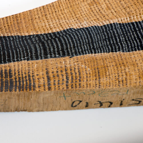 Visite guidée du laboratoire de dendroarchéologie